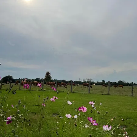 Hébergement de vacances La Chabossière