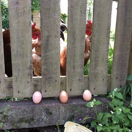 Hébergement de vacances La Chabossière Montbizot