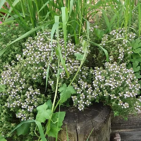 Hébergement de vacances La Chabossière *