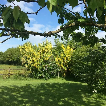 La Chabossière * Montbizot