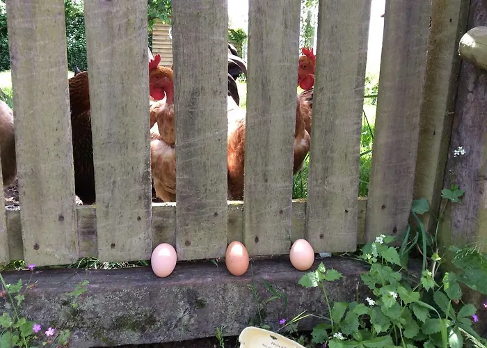 Сasa de vacaciones La Chabossiere Montbizot