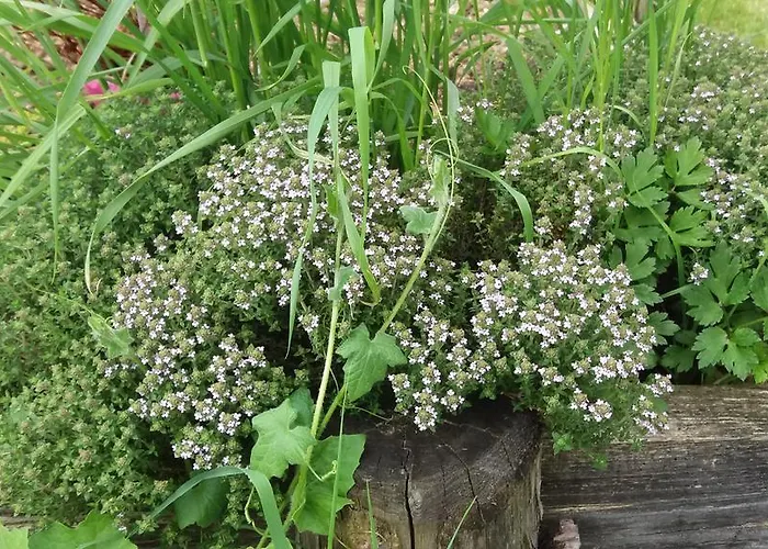 Сasa de vacaciones La Chabossiere *