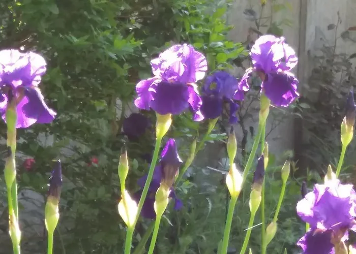 Сasa de vacaciones La Chabossiere Montbizot