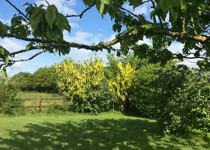 La Chabossiere * Montbizot